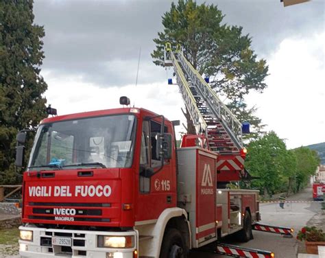 Maltempo In Valle Del Turano Rischio Caduta Alberi A Colle Di Tora