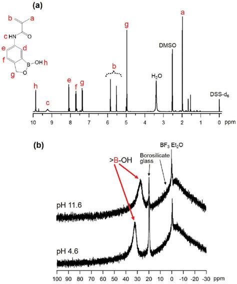 A 1 H Nmr Spectrum Of Maambo Monomer In Dmso D 6 Solvent The