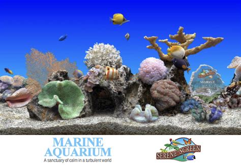 3d Marine Aquarium Screensaver Windows 7 - Aquarium Views