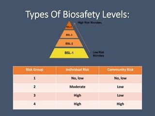 BIOSAFETY LEVEL 3 Pptx