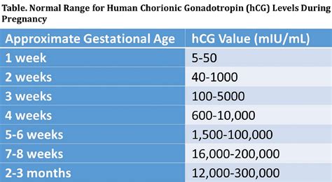 Dating Pregnancy By Hcg Levels Telegraph