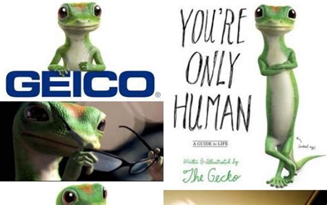 Geico Lizard Quotes. QuotesGram