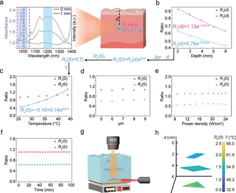 A Schematic Illustration Of Biased Ratiometric Readout Caused By