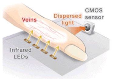 Biometric Imaging Systems For Identifying The Finger Vein Pattern