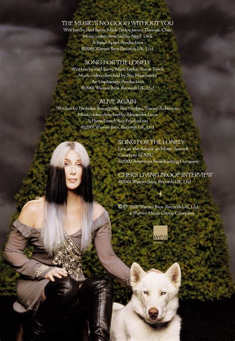 Cher Living Proof Videos DVD 2001 RARE PROMO - Etsy