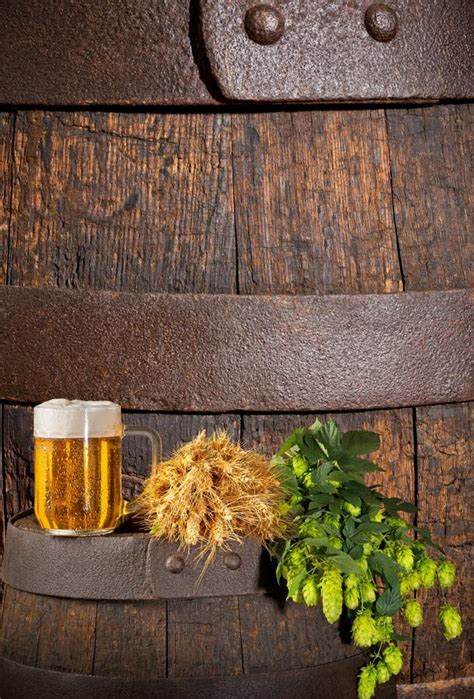 Glass Of Beer With Hops And Barley Stock Image Image Of Cereal Pint