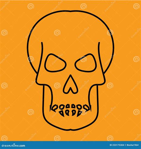 Anatomically Correct Human Skulls Set Isolated Hand Drawn Line Vector