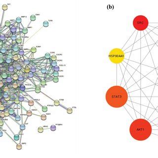 Proteinprotein Interaction PPI Network And Hub Gene Analysis A