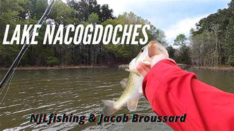 Jerkbait Bass Fishing Lake Nacogdoches Youtube