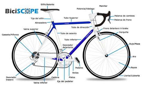 Partes de una Bicicleta Guía completa 2022