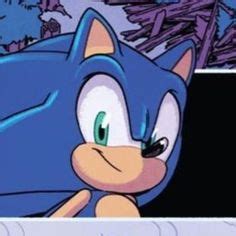 Sonic Idw Sonic Shadow Matching Pfps Icons Sonic Funny Sonic