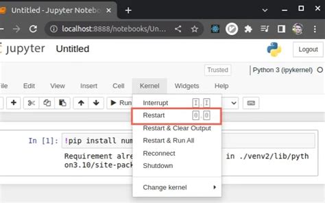 Restart The Kernel Python