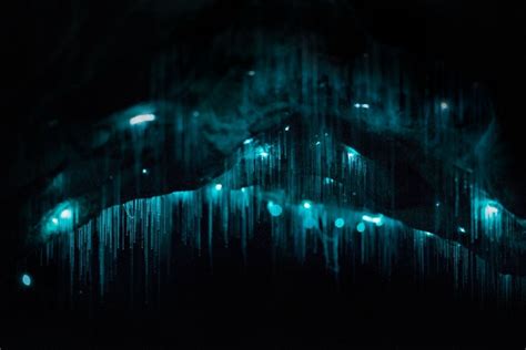 Cuevas bioluminiscentes un especial fenómeno que nos regala la