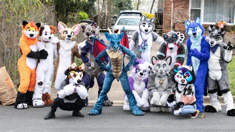 Exploring the Furry Fandom: More Than Just Costumes