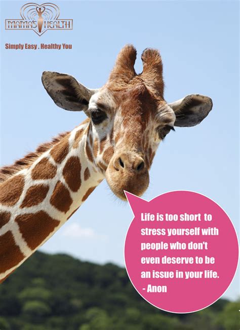 Cute Giraffe Quotes And Sayings Quotesgram