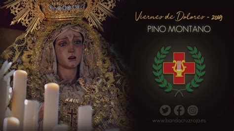 Virgen Del Amor Javier Calvo Gavi O Virgen Del Amor Hdad Pino