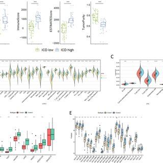 Immune Microenvironment Of Different ICD Subtypes A Box Plot Showing