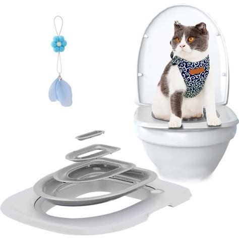 Systèmes D Apprentissage Des Toilettes Pour Chat Kit D Apprentissage