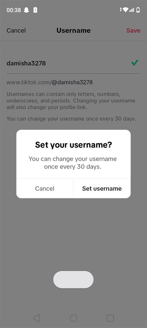 Creative Tiktok Username Ideas For 2024 Social Champ