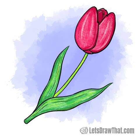 Aggregate more than 153 tulip flower drawing with colour latest - seven ...