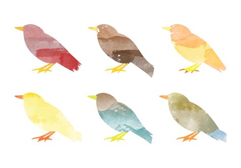 Vector Watercolor Bird Collection 117240 Vector Art at Vecteezy