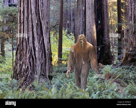 Yeti Bigfoot