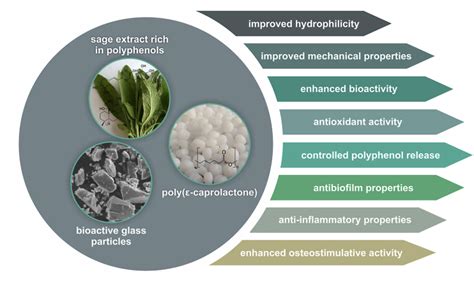 Pcl And Pcl Bioactive Glass Biomaterials As Carriers For Biologically