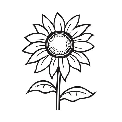 Sunflower Outline, Sunflower Line Art, Floral Line Drawing, black and ...