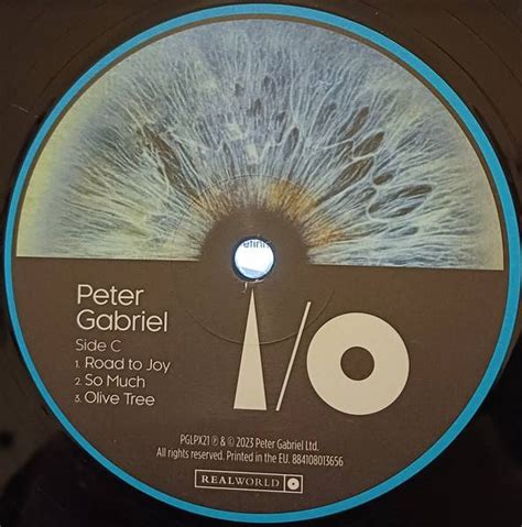 Виниловая пластинка Peter Gabriel Io Dark Side Mixes 2lp Цена