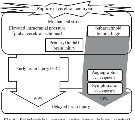 Figure 2 From Current Concepts Of Delayed Cerebral Ischemia After