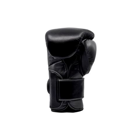 Everlast Powerlock 2 Boxningshandskar Svart