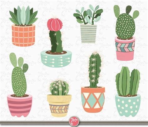 Flowers Illustration Plant Illustration Cactus Terrarium Cactus Pot