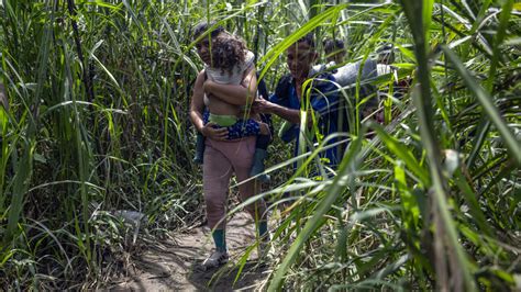 Aumentan las agresiones sexuales en la selva del Darién Noticias de