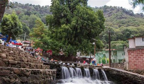 El Ahuehuete de Chalma un lugar lleno de historia y tradición