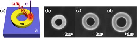 Schematic Illustration And Sem Images Of The Au Nanoring Cavities A