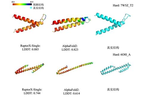 比AlphaFold2效果好比Meta ESMFold参数小 许锦波团队完成蛋白质结构预测三级进化 生物探索