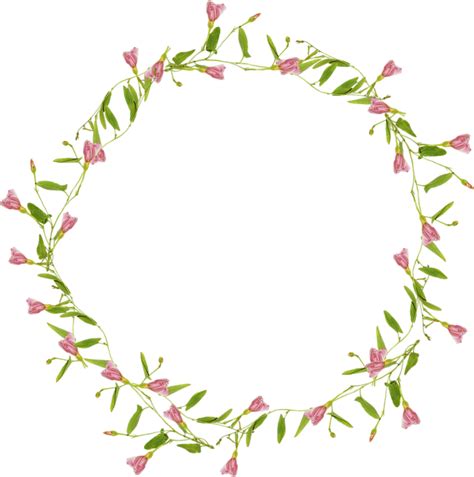 flower vine border clipart 10 free Cliparts | Download images on Clipground 2024