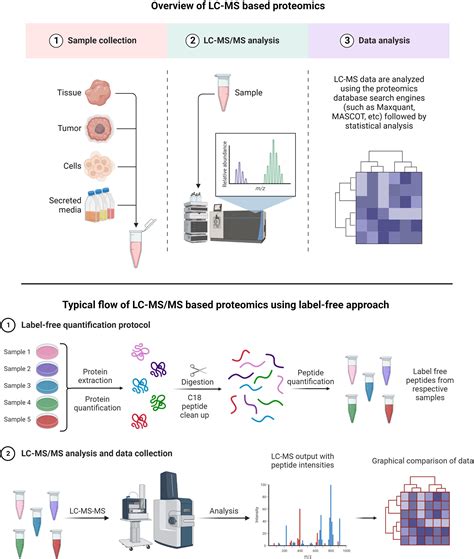 An Overview Of Glioblastoma Multiforme And Temozolomide Resistance Can