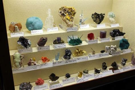 There Are Many Different Types Of Rocks On Display In The Store Window