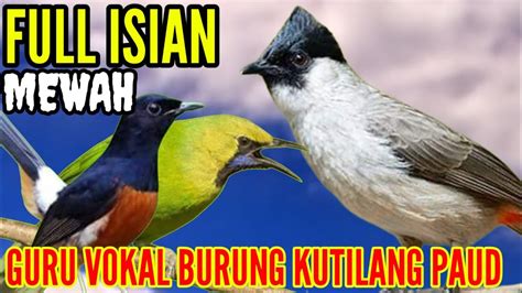 Masteran Kutilang Gacor Full Isian Murai Batu Cucak Ijo YouTube