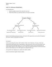 Week 7 Lab 14 Docx BIOS242 Week 7 Lab 2 Name Lab 14 Unknown