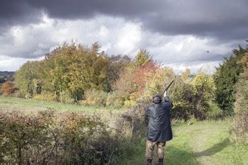 Pheasant Shooting At Priors Park Hampshire Shootinguk Shootinguk