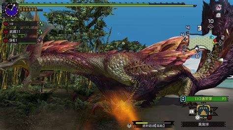 Mhxx Mhgu G Mizutsune Adept Lbg Mins G