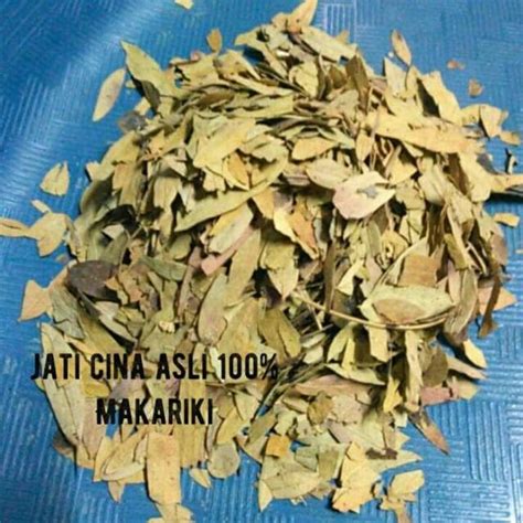 Jual Daun Jati Cina Kering Berat 25gr Shopee Indonesia