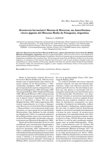 Pdf Brontornis Burmeisteri Moreno Mercerat A Giant Anseriformes