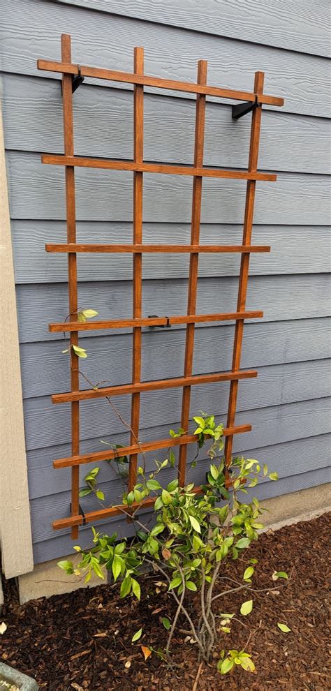 Trellis Wall Mount Standoff Mm Total Length By Jurassic