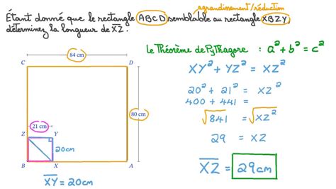 Vid O Question D Terminer La Longueur D Un Rectangle Semblable Un