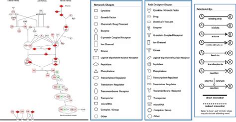 Ingenuity Pathway Analysis Ipa For Complement Proteins A Complement