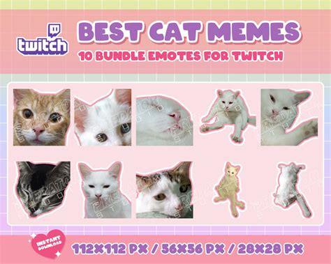 10 Cute Cat Memes Emote Pack 12 Emotes Twitch Emote Etsy