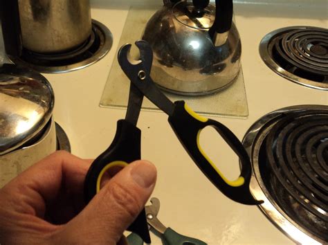 cutting cats claws 5